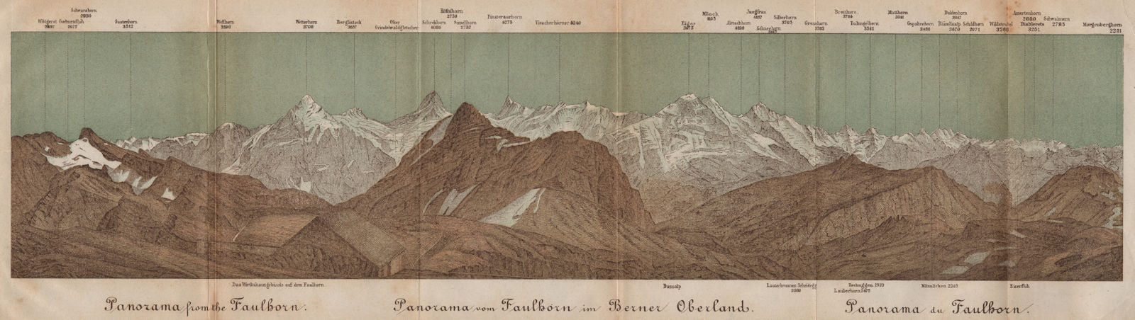 PANORAMA from/vom FAULHORN. Berner Oberland. Bernese Oberland 1893 old map